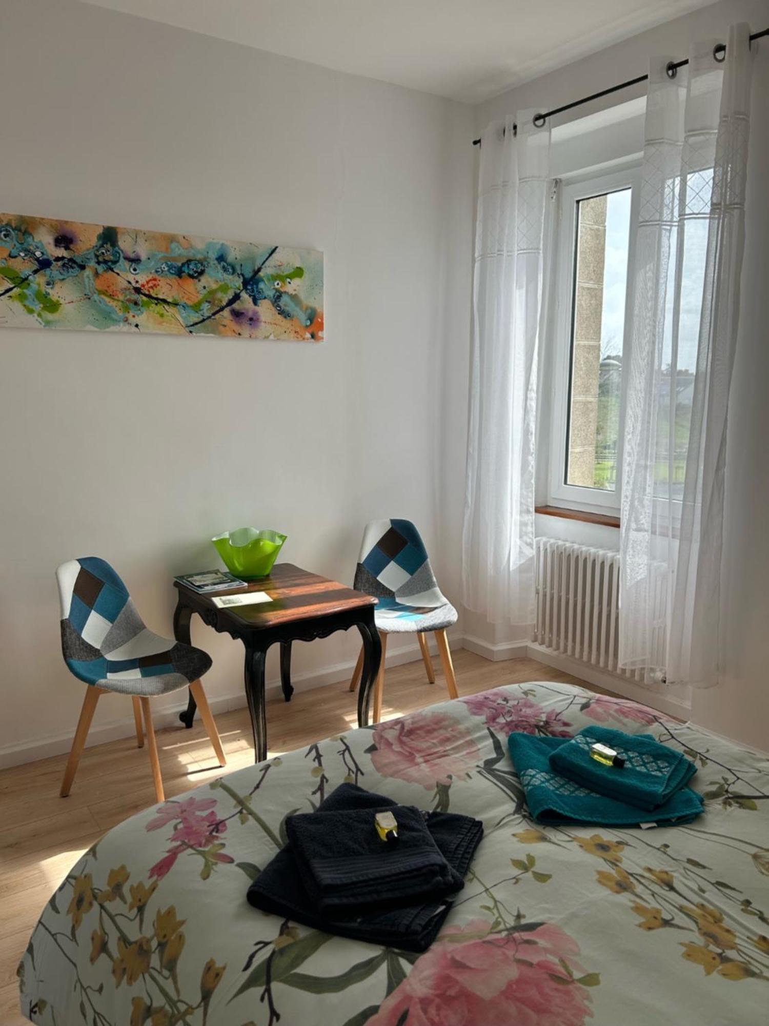 פלובזלאנק Bnb Maison D'Art Breakfast In The Art Gallery מראה חיצוני תמונה